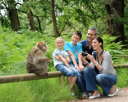 Image La montagne des Singes
