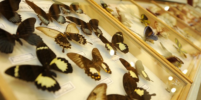 Image La Maison de la Faune