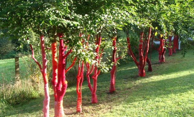 Image Le jardin Délirant