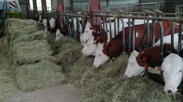 Image Ferme de Roziers