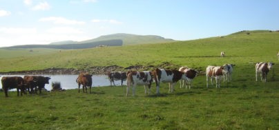 Image Ferme du Buron de Fages
