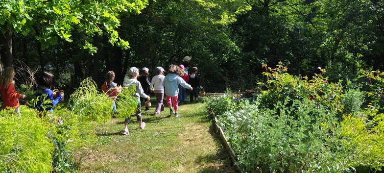 Image Le jardin des plantes à couleurs