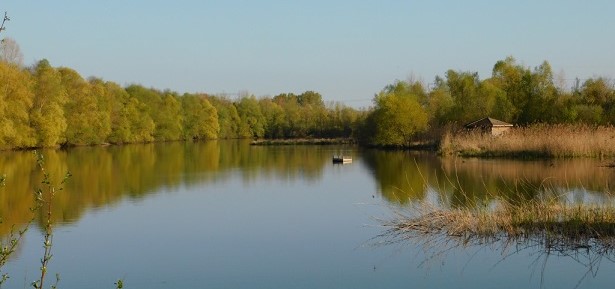 Image La Gravière aux oiseaux