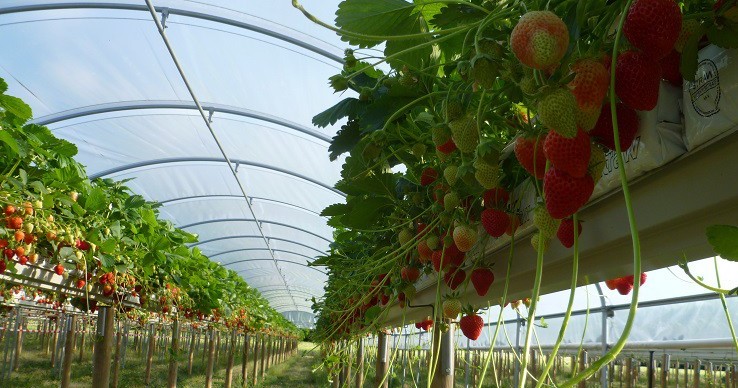 Image Le Jardin de Laborde
