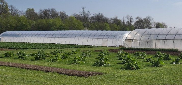 Image Cueillette : la Ferme du Château