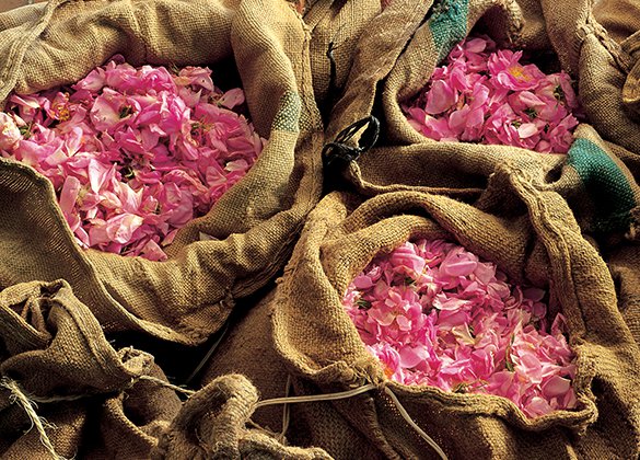 Image Musée du parfum