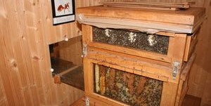 Image Musée vivant de l'Apiculture