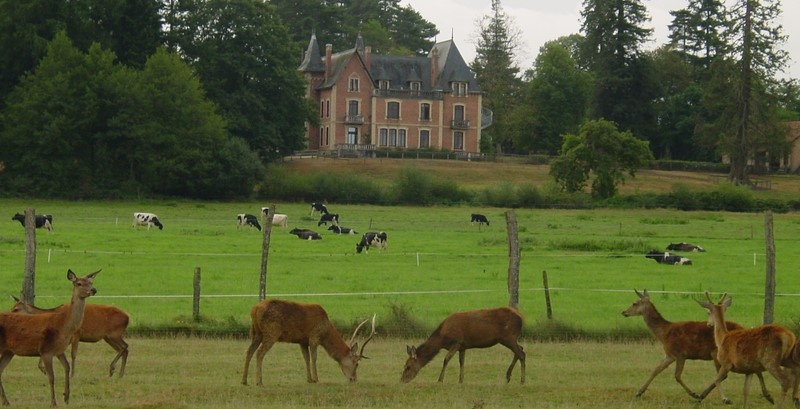 Image Domaine du Ciran