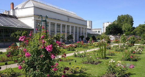 Image Le Jardin des Plantes d'Orléans