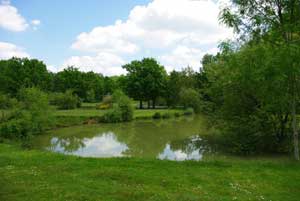 Image Les étangs de Romainville