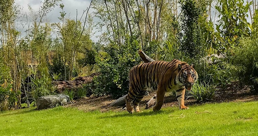 Image Zoo de la Flêche