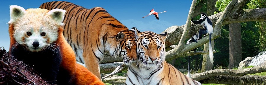 Image Parc animalier et Château de la Bourbansais