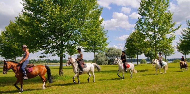 Image Ile de Loisirs de Vaires - Torcy