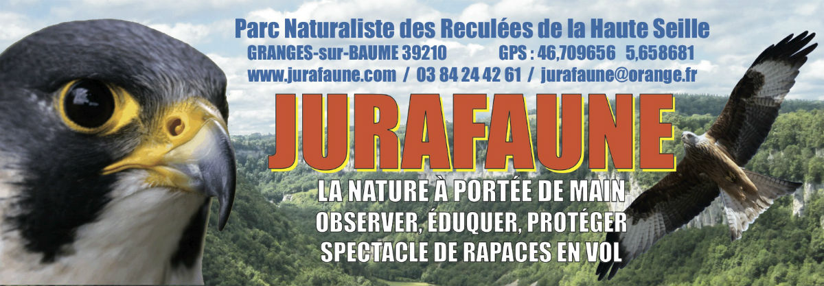 Image Jurafaune
