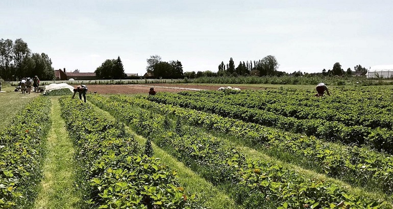 Image Le jardin de Servins