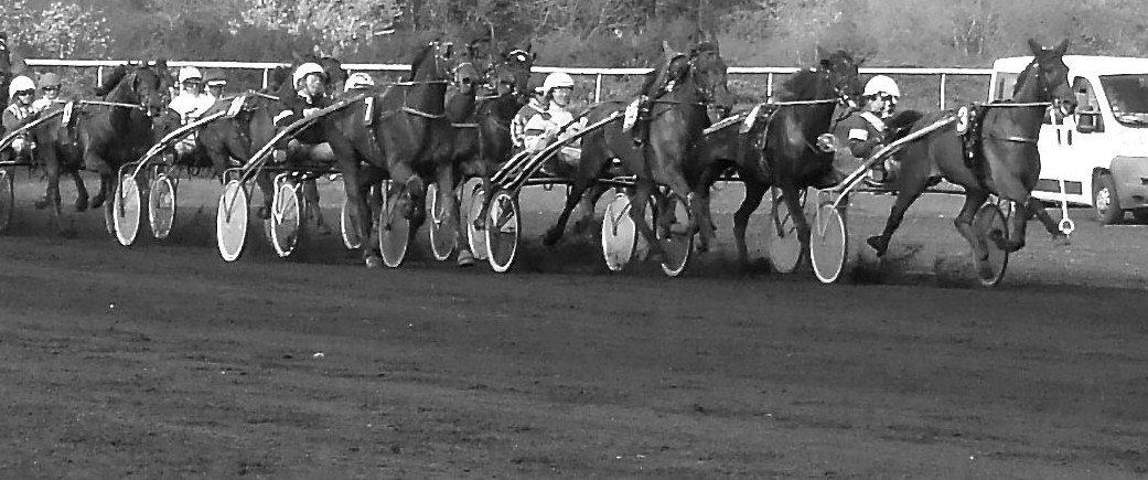 Image Hippodrome de Saint Omer
