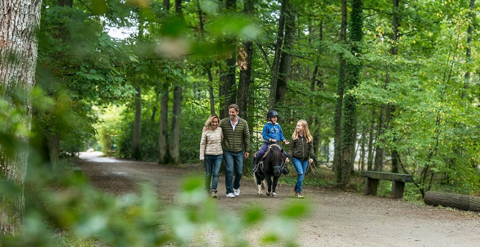 Image Center Parc - Les Bois Francs