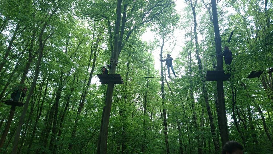 Image Grimpobranches - Parcours aventure