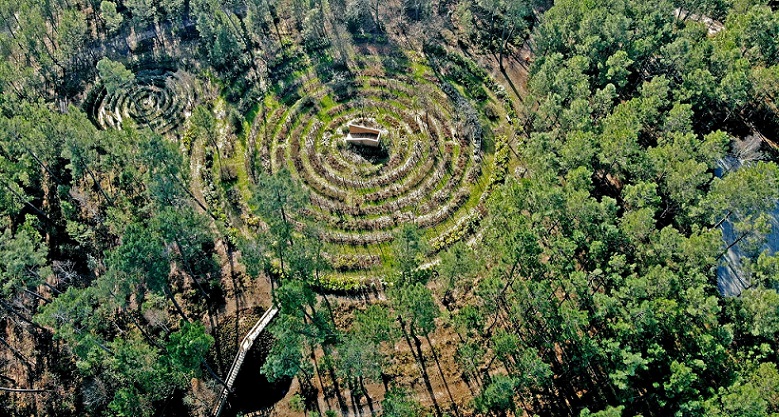 Image Mysterra