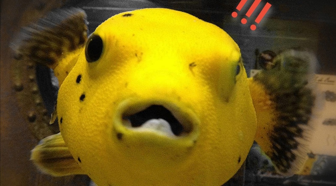 Image Aquarium d'Amnéville