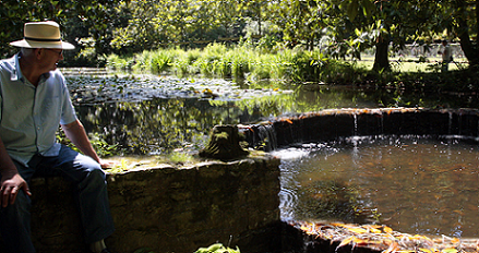 Image Jardin botanique du Sarrat