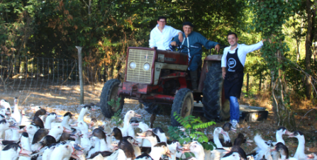 Image Ferme de Brougnon à Caupenne