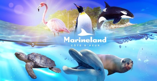 Image Marineland - Aquasplash - Kids Island - Adventure Golf