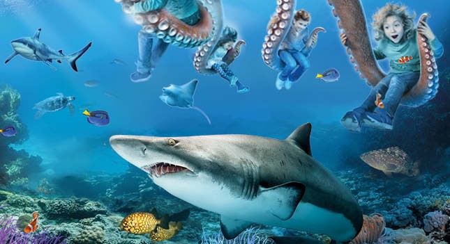 Image Grand aquarium de Saint Malo