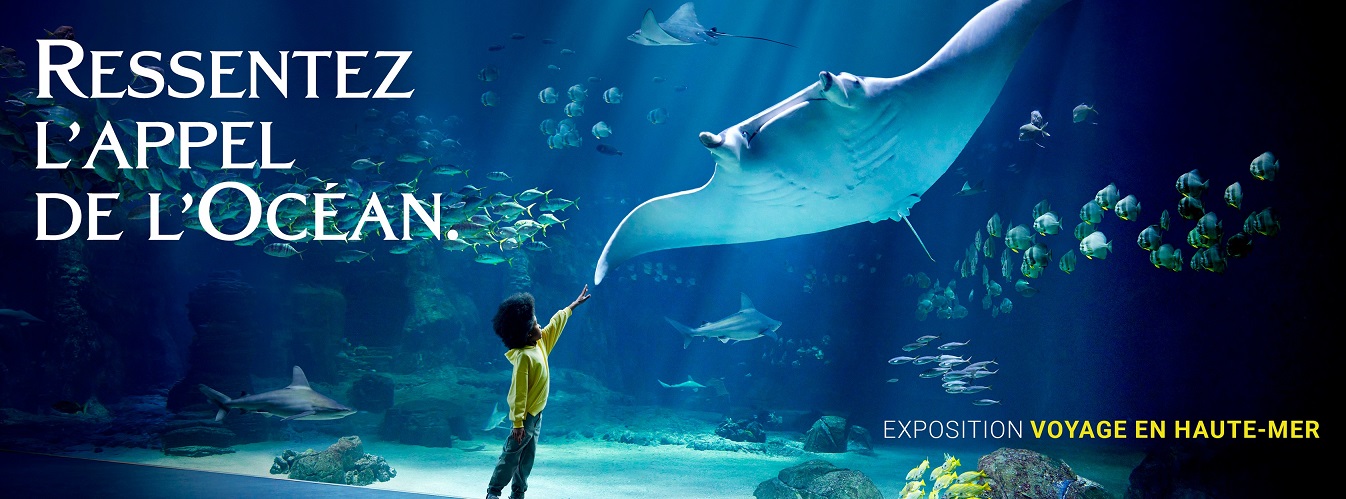 Image Nausicaa