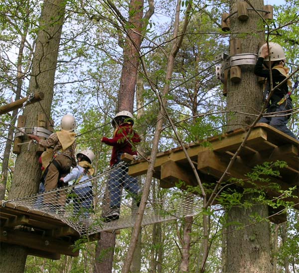 Image Atout branches - Parcours aventure