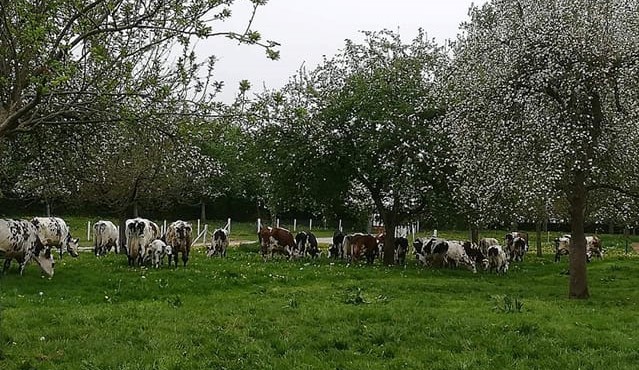 Image La Ferme du petit Fumechon