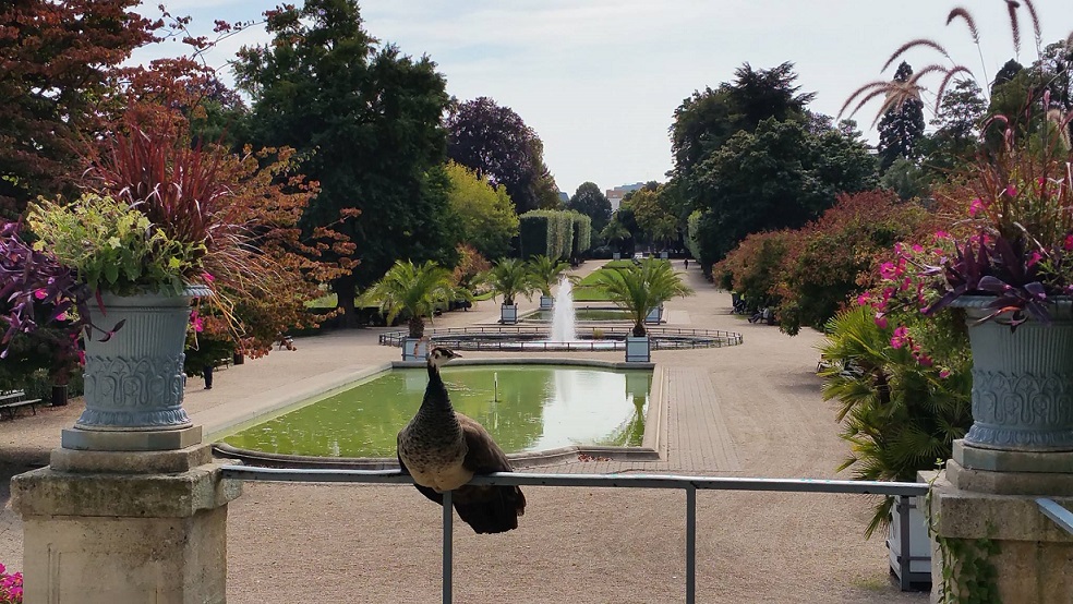 Image Jardin des Plantes de Rouen